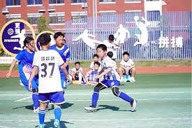 成都蓉城夺得中超半程冠军 国安逆转铜梁龙精彩回顾